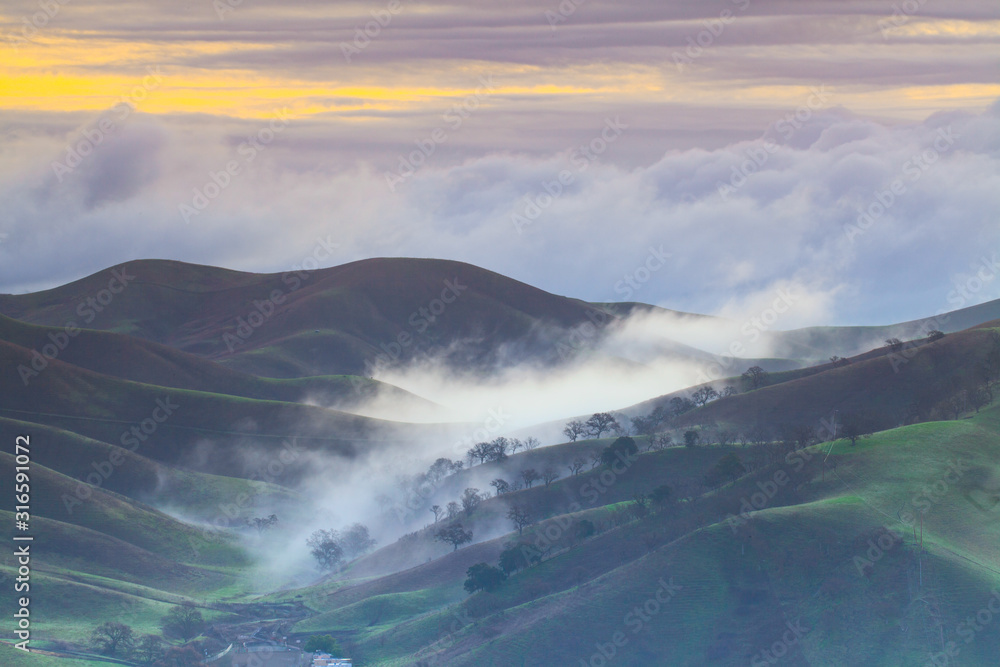 Naklejka premium Morning Fog in Tri-Valley San Ramon