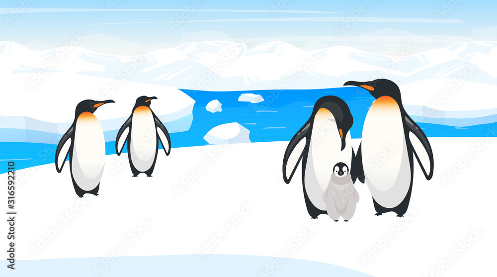 Obraz premium South pole wildlife flat vector illustration. Emperor penguins breed on snow hill. Polar bird species colony in natural habitance. Snow wilderness. Iceland environment. Animal cartoon characters