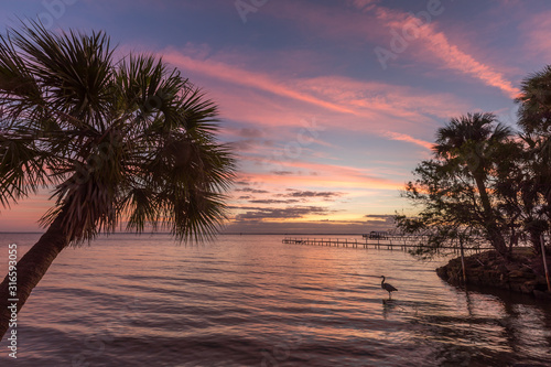 Palm Trees at Sunset on the Indian River in Florida