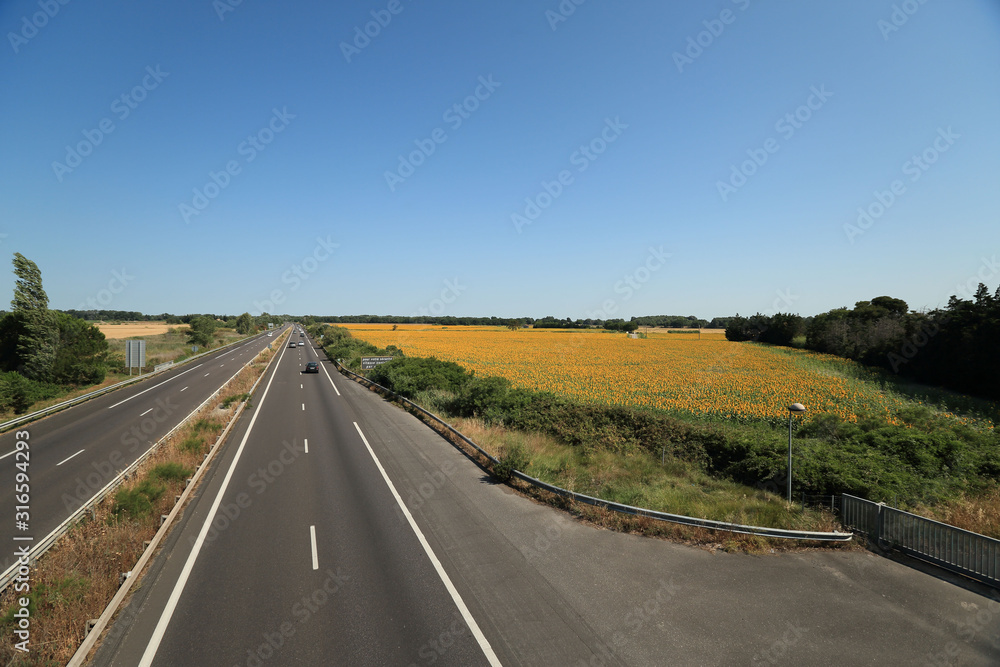 Sunfower Field and highway  at Provence France