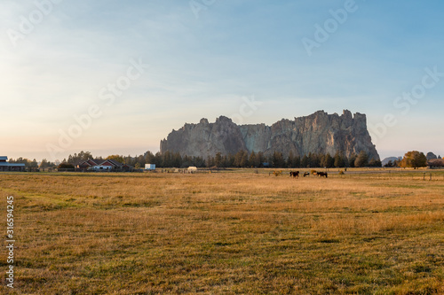 Sunset view of horses on a meadow with the rock walls of Smith Rock State Park in the background
