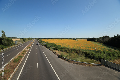 Sunfower Field and highway  at Provence France