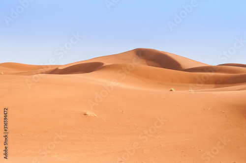 Sand Dune in the Sahara / In the Sahara Desert, sand dunes to the horizon, Morocco, Africa. © ub-foto