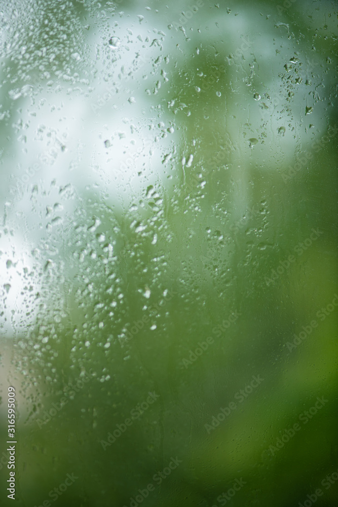 Rain drops on window with green tree in background
