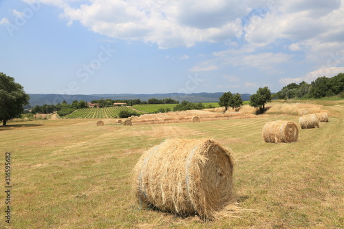 Straw veil at Countryside of South France Europe