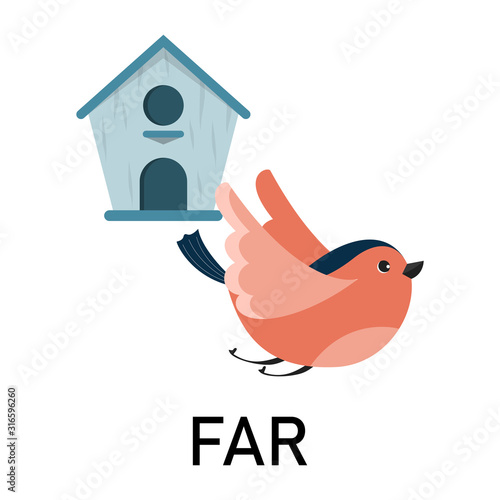 Bird and birdhouse, learning preposition vector isolated.