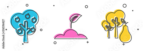 Set Tree with apple, Sprout and Tree with pears icon. Vector