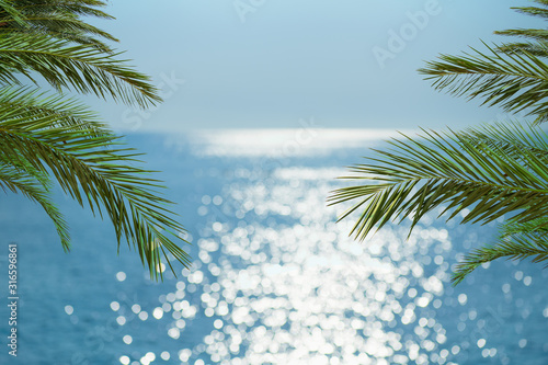 Blur beautiful nature green palm leaf on tropical beach with bokeh sunlight wave abstract background.
