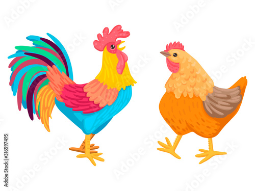 Rooster and chicken go. A pair of domestic birds. Vector characters are not white background.