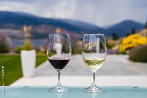 pair of glasses on glass table close up, selective focus view, two wine glasses filled of dark red and golden white wines, blurred nature background
