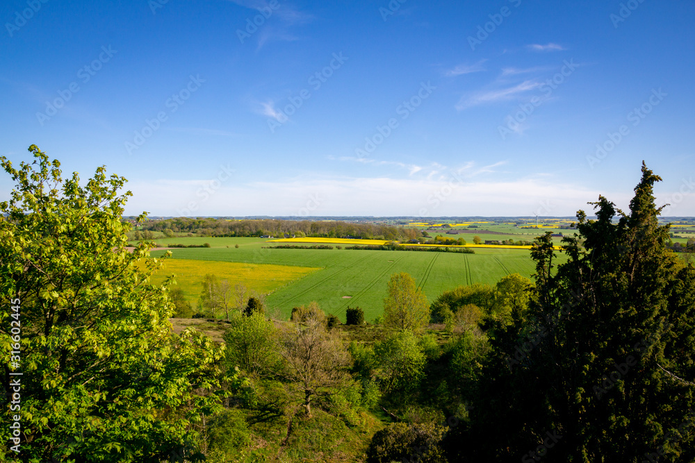 The flat Swedish farmlands with green fields and yellow rapeseed (canola) fields is seen from the hill Billebjer in Skåne, the southern part of Sweden