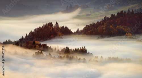 Fototapeta Naklejka Na Ścianę i Meble -  Pieniny sunrise light