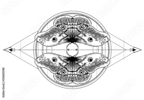 Black and white moth over sacred geometry sign, isolated vector illustration. Tattoo flash. Mystical symbols and insects. Alchemy, occultism, spirituality, coloring book. Hand-drawn vintage.