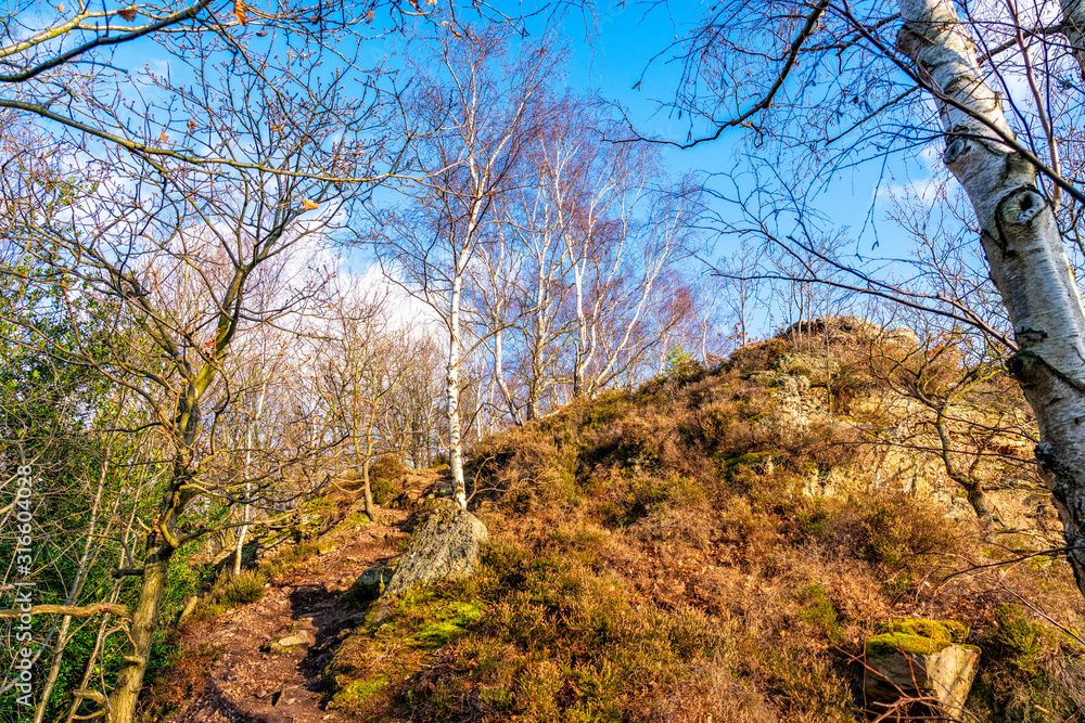 Obraz premium Gipfelpfad im Buntsandstein
