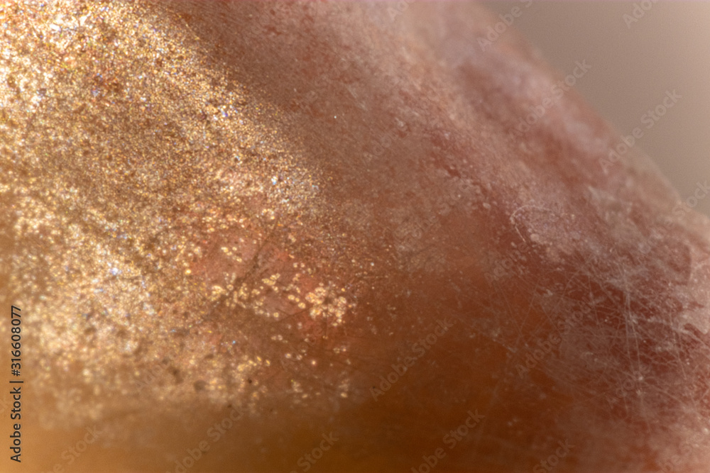 Fototapeta premium Close Up Glittery Shell
