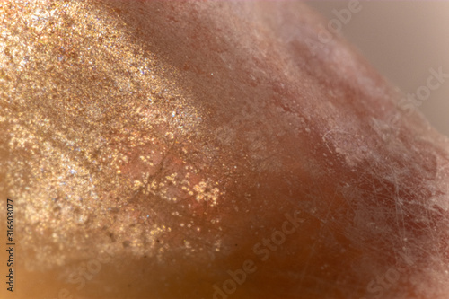 Close Up Glittery Shell
