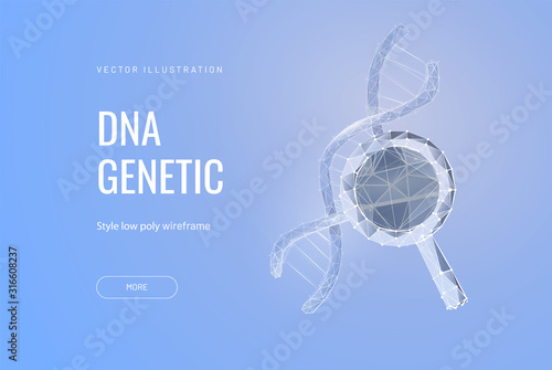 DNA analysis icon, genetics testing. dna chain in magnifying glass sign. genetic engineering, cloning, paternity testing. vector illustration