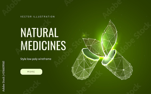 Natural medicines low poly wireframe landing page template