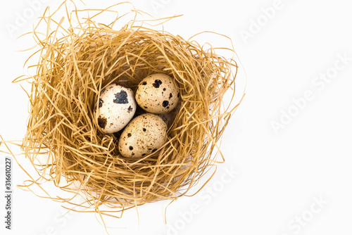 Quail eggs in the nest. Quail. Spring. Easter eggs. Spring Festival. Eggs Nest with eggs. Easter.