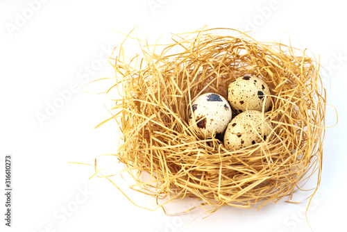 Quail eggs in the nest. Quail. Spring. Easter eggs. Spring Festival. Eggs Nest with eggs. Easter.