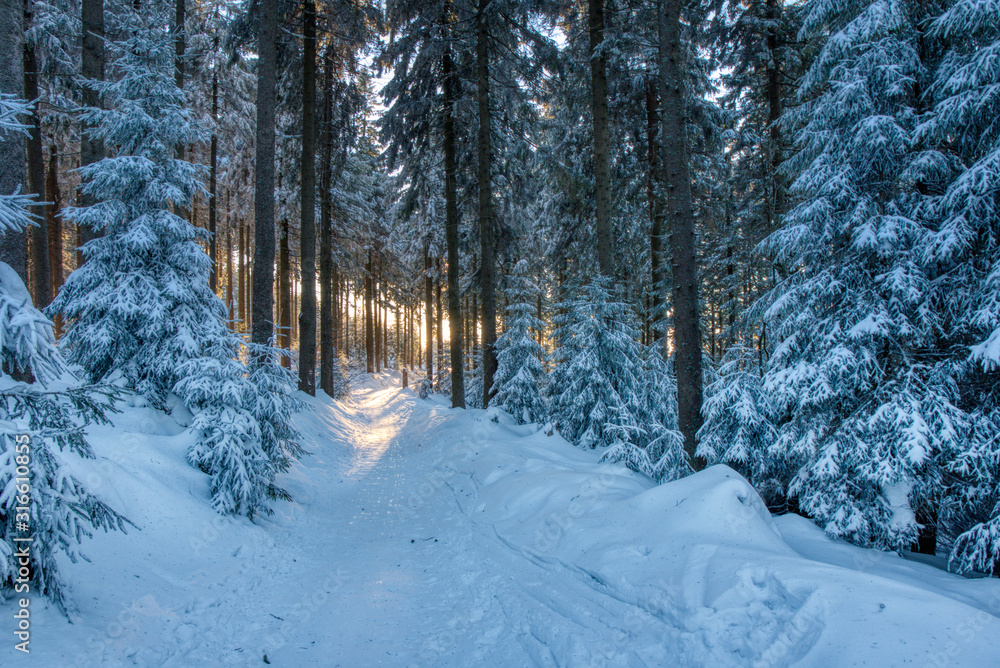 Fototapeta premium Majestic winter landscape glowing by sunlight in the morning. Dramatic wintry scene. czech beskydy