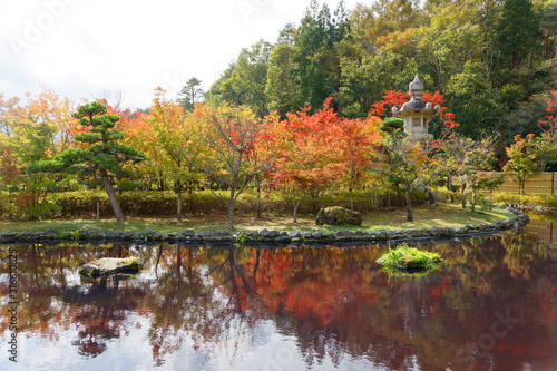 Beautiful Japanese pond. Red and green maple and pine trees reflecting in the water