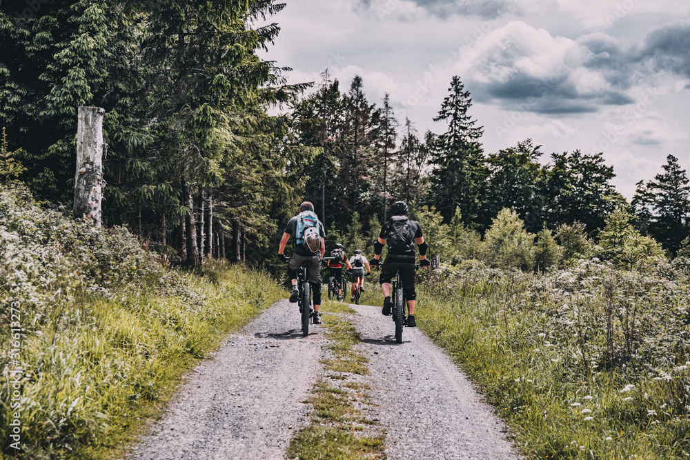 cyclists on the road, mountainbiking in forest