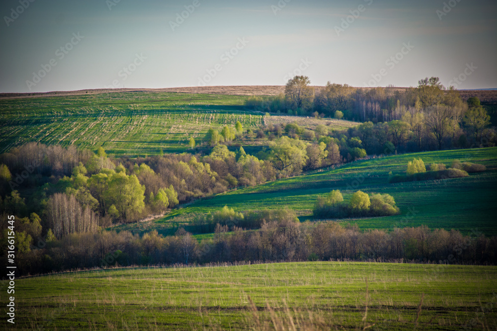 Fototapeta premium beautiful evening view of fields on the hills