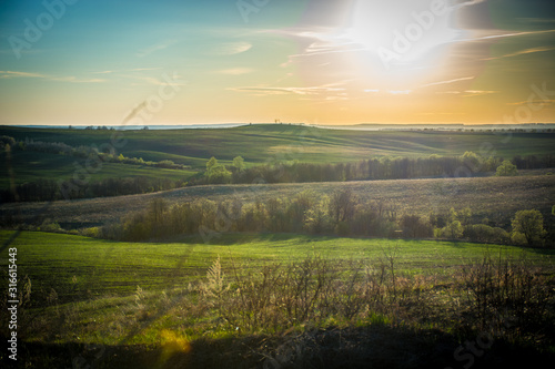 summer sunset over fields and forests