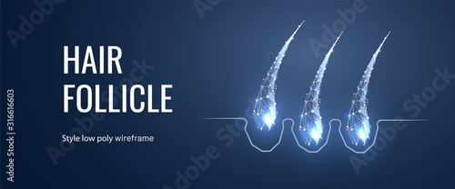 Hair follicle treatment low poly landing page template. Trichology science web banner. 3d hair root with glowing polygonal illustration. Baldness prevention clinic mesh art homepage design layout