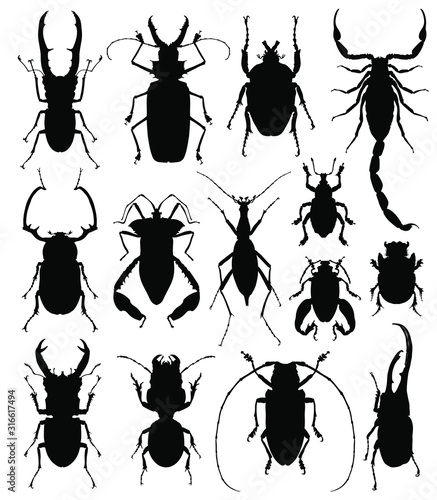 Beetles / bugs silhouettes on a wight background. vector illustration © Diana