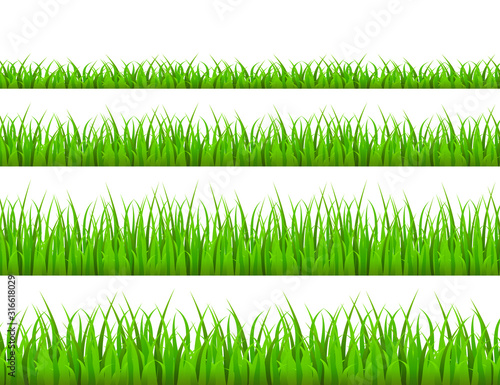 Green grass meadow border vector pattern. Grass background Vector Illustration