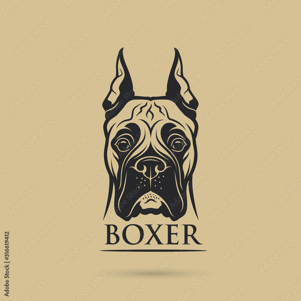 Boxer dog - isolated vector illustration