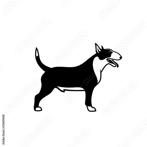 Bull Terrier dog - vector illustration