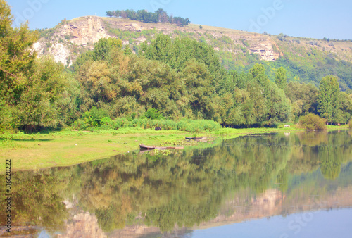 green rustic scenery with pasture and river 