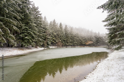 First snow of the year in carpegna photo