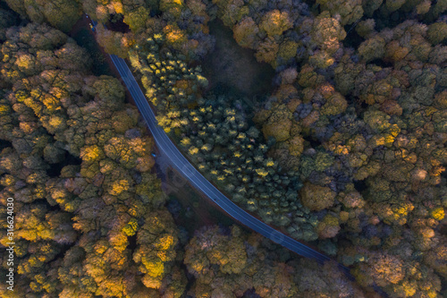 Sabaduri Forest, Tbilisi National Park, Georgia. Country. Autumn. Drone shooting © Yaroslav