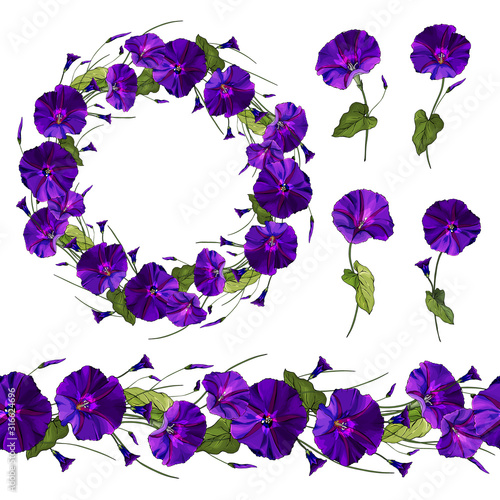 Set of floral elements purple flowers morning glory on a stalk with green leaves, wreath,horizontal seamless border.Isolated on white.Hand drawn. For design, greeting cards. Vector illustration.