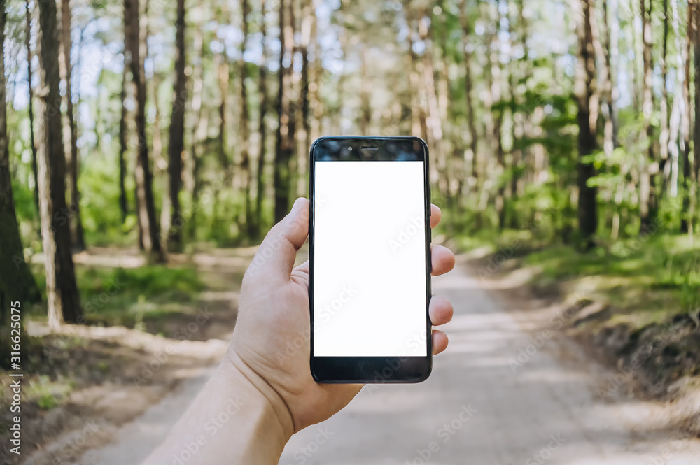 Mock up smartphone in the hands of a man in the forest, against a background of trees. Concept on the theme of travel outdoor recreation.