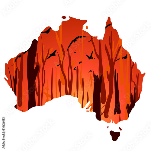 Landscape with wildfire and flying birds, in Australia outline silhouette. Vector cartoon illustration