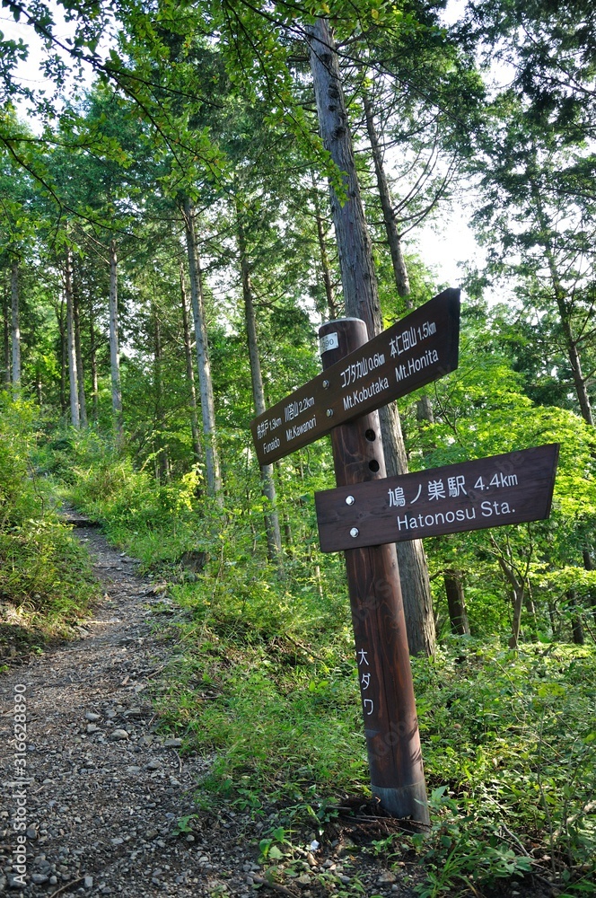 奥多摩の登山道 大ダワ