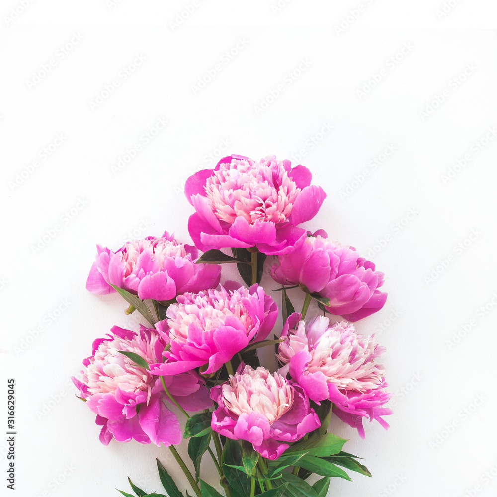 Peony flowers on white background, flat lay, top view Peony flowers on white background, flat lay, top view