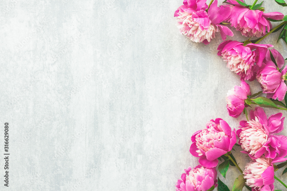 Peony flowers on grey background, flat lay, top view Peony flowers on grey background, flat lay, top view