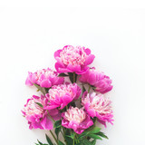 Peony flowers on white background, flat lay, top view