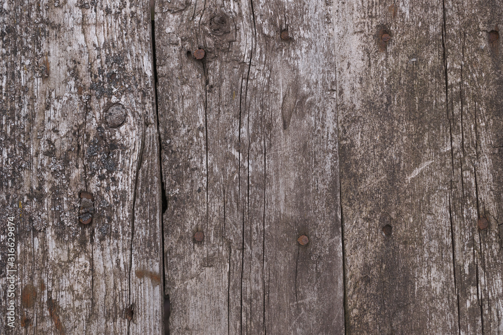 Old wooden texured surface closeup. Moss and relief on surface. Stock photo of old wooden pattern of aged boards with moss. Brown and gray colors on photo. Old wooden texured surface closeup. Moss and relief on surface. Stock photo of old wooden pattern of aged boards with moss. Brown and gray colors on photo.