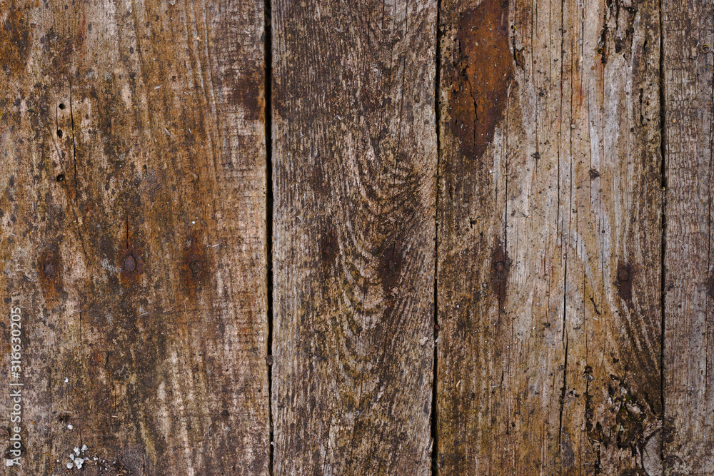 Old wooden texured surface closeup. Moss and relief on surface. Stock photo of old wooden pattern of aged boards with moss. Brown and gray colors on photo. Old wooden texured surface closeup. Moss and relief on surface. Stock photo of old wooden pattern of aged boards with moss. Brown and gray colors on photo.