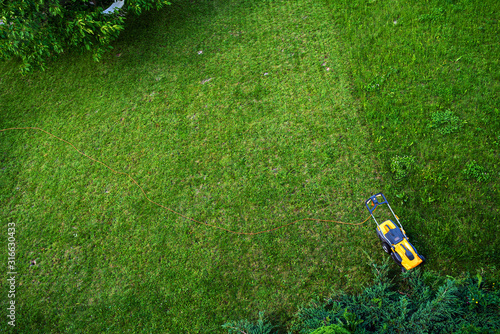 Working men working lawn care photo