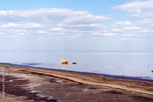 Dry sea endless sand beautiful clouds beautiful landscape estuary.. © Andrii