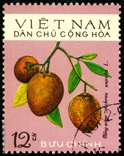 Sapodilla fruits on postage stamp