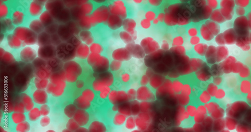 red cells biological closeup on green background